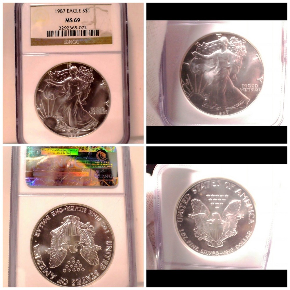 1987 American Silver Eagle $1 NGC MS69 1 oz Silver Bullion Coin